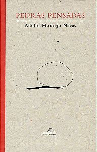 Livro Pedras Pensadas - Inscrições (1980-2002)