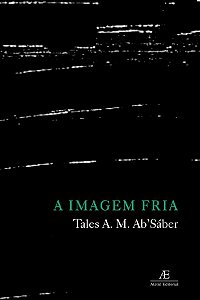 Livro A Imagem Fria: Cinema e Crise do Sujeito no Brasil ...