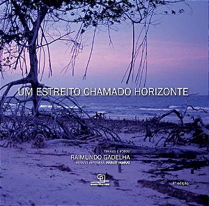 Livro Um estreito chamado horizonte