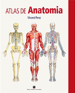 Livro Atlas De Anatomia - 01Ed/25