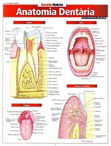 Livro Anatomia dentária avançada
