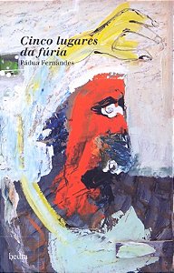 Livro Cinco lugares da fúria
