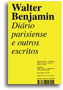 Livro Diário parisiense e outros escritos: A nova literat...