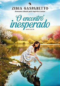 Livro O Encontro Inesperado