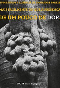 Livro Prazer, dor, as paixões