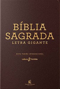 Livro Bíblia NVI, Couro Soft, Marrom, Letra Gigante, Leit...
