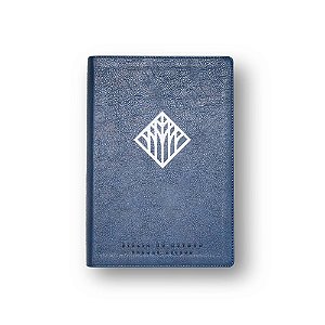 Livro Bíblia De Estudo Thomas Nelson - Azul