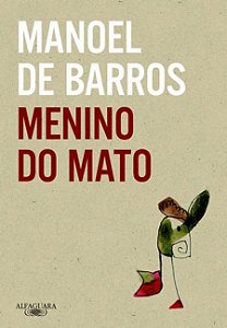 Livro Menino do mato