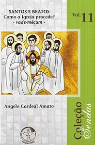 Livro Documentos Da Igreja 43 - Santos E Beatos Jovens