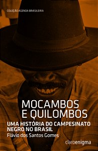 Livro Mocambos e quilombos