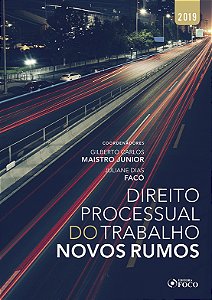 Livro Direito processual do trabalho: novos rumos