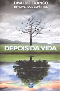 Livro Depois Da Vida
