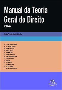 Livro Manual da teoria geral do direito