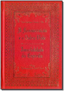 Livro Ressurreição E A Outra Vida