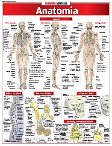 Livro Anatomia