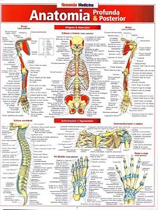 Livro Anatomia profunda e posterior