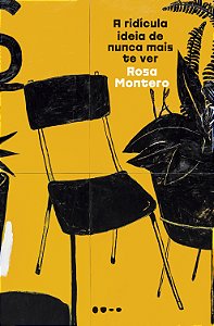 Livro A ridícula ideia de nunca mais te ver