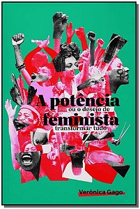 Livro A potência feminista, ou o desejo de transformar tu...