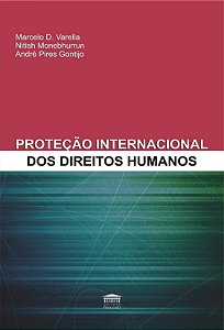 Livro Proteção internacional dos direitos humanos