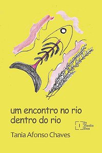 Livro Um Encontro No Rio Dentro Do Rio
