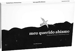 Livro Meu querido abismo