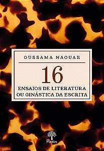 Dezesseis Ensaios De Literatura Ou Ginástica Da Escrita