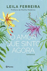 O amor que sinto agora: romance