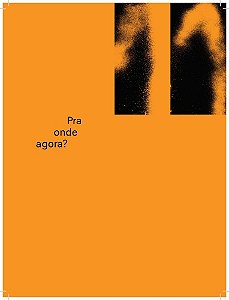 Pra onde agora?: zine Novas Frequências (Volume 1)