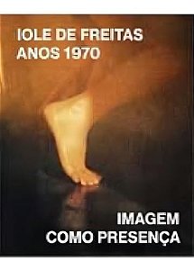 Iole De Freitas Anos 1970 - Imagem Como Presença