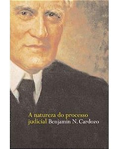 A natureza do processo judicial
