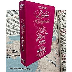 Bíblia Sagrada Evangélica Rosa: Harpa e Corinhos - Full Collor