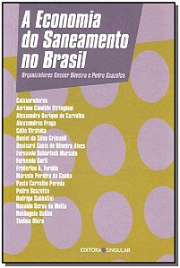 A Economia Do Saneamento No Brasil
