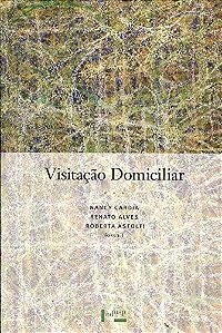 Visitação domiciliar: prevenção da violência e a promoção do desenvolvimento saudável na primeira infância