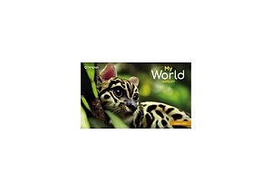 My world nursery student book (cengage)