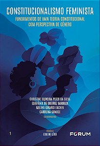 Constitucionalismo feminista: fundamentos de uma teoria constitucional com perspectiva de gênero (Volume 1)