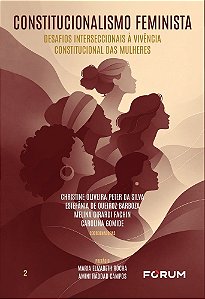 Constitucionalismo feminista: desafios interseccionais à vivência constitucional das mulheres (Volume 2)