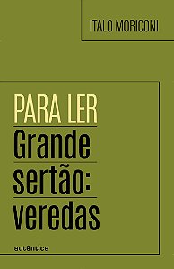 Para ler Grande sertão: veredas
