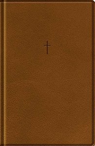 Bíblia Com Mapas Mentais NAA - Letra Grande - Marrom