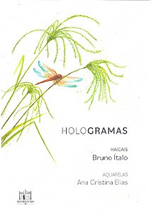 Hologramas - (Reformatorio)