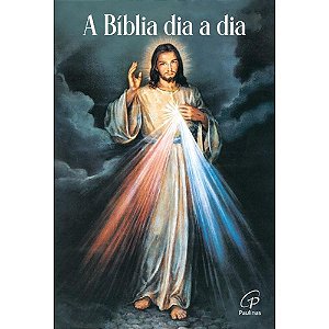 Bíblia Dia A Dia 2027 - Wire-O - Jesus Misericordioso