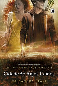 Livro Cidade dos anjos caídos (Vol.4 Os Instrumentos Mort...