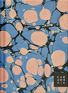 Livro Aforismos – Escritores e seu ofício: Planner – Modelo 1