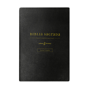 Livro Bíblia Nvi, Couro Soft - Letra Grande, Com Espaço P...