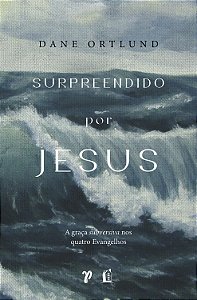 Livro Surpreendido Por Jesus - A Graça Subversiva Nos Qua...