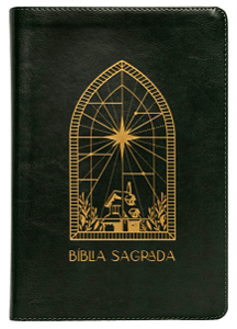 Livro The Purpose Book: Bíblia Sagrada, A21, Couro Soft, Verde