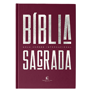 Livro Bíblia Nvi, Capa Dura, Vinho, Econômica, Pedra Angu...