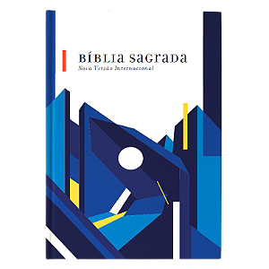Livro Bíblia Nvi, Capa Dura, Neutra, Econômica, Urbana