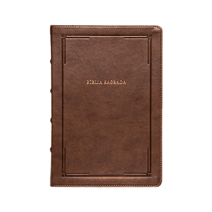 Livro Bíblia Slim Nvi, Letra Grande, Couro-Soft Marrom, L...