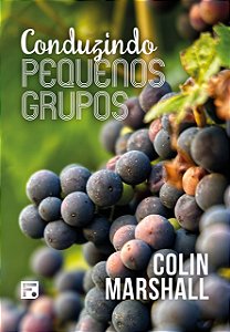 Livro Conduzindo Pequenos Grupos