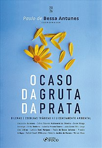 Livro O Caso da Gruta de Prata - Dilemas e Escolhas Trágicas no...